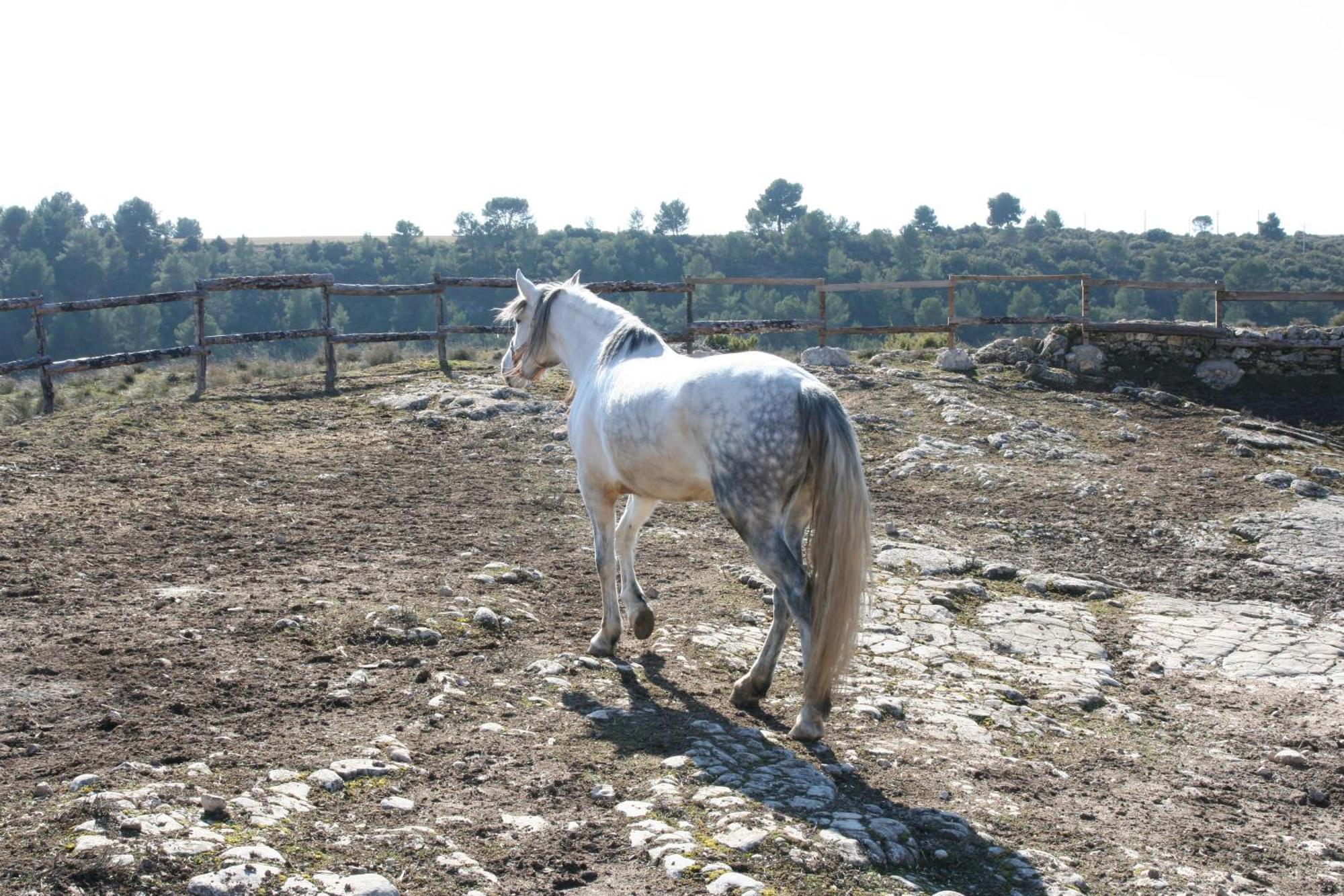La Posada Del Hidalgo De Alarcon Bagian luar foto